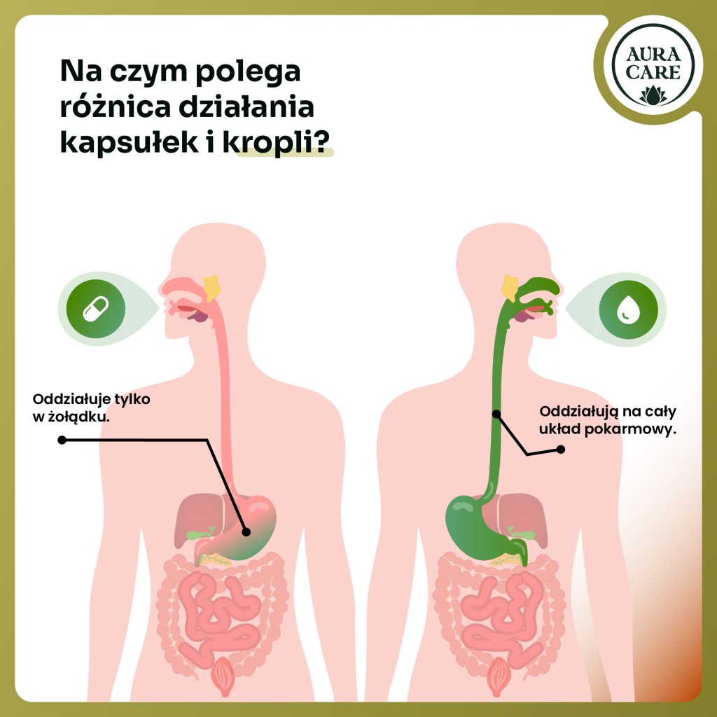 Krople adaptogenne na stres, zmęczenie i regenerację