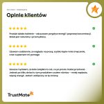 trustmateObszar roboczy 10-100 (9)