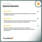 trustmateObszar roboczy 10-100 (10)