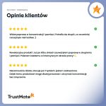 trustmateObszar roboczy 10-100 (14)