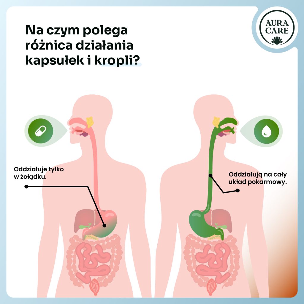 Krople na skupienie i lepszą pracę mózgu