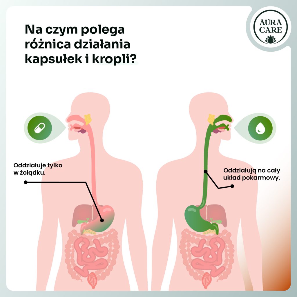 Suplement na zmęczenie związane z poziomem cukru