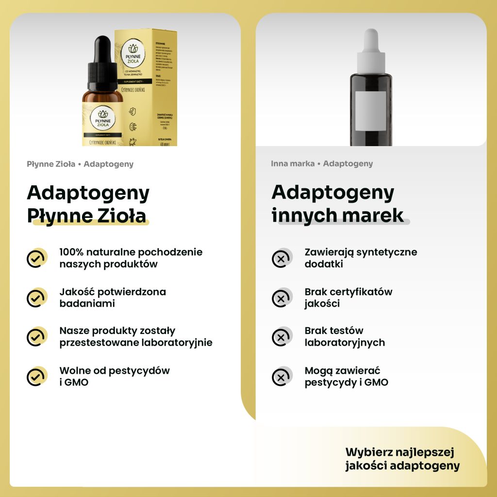 Cytryniec chiński na energię i zmęczenie – naturalne wsparcie
