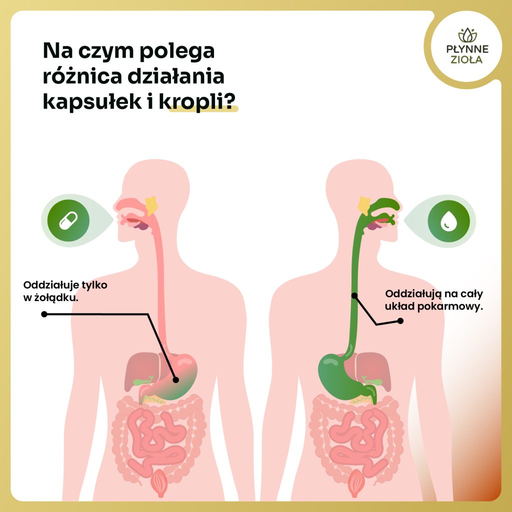 Krople na witalność i wydolność fizyczną