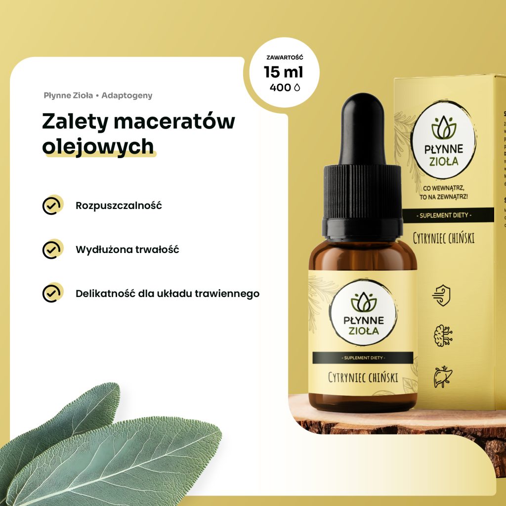 Adaptogen na brak energii i wyczerpanie organizmu