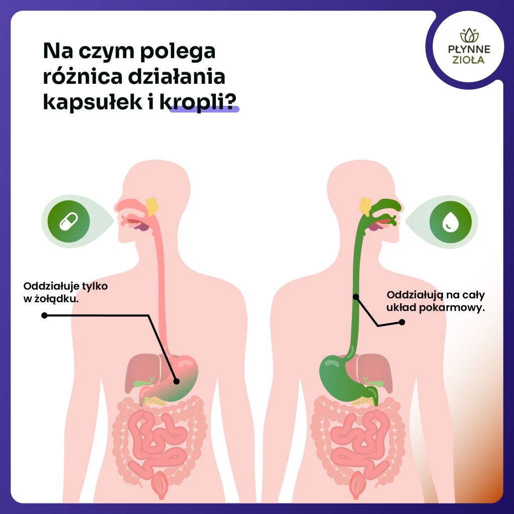 Naturalne krople z echinacea – Aura Care