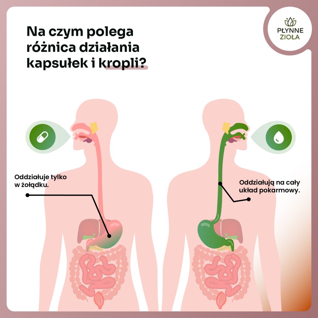 Krople na skupienie i pracę umysłu