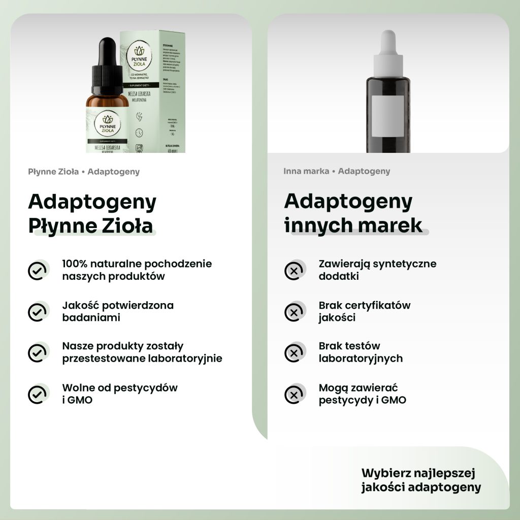 Adaptogeny wspierające regenerację mózgu