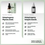 MELISA LEKARSKA I MELATONINAObszar roboczy 2-100