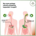 MELISA LEKARSKA I MELATONINAObszar roboczy 3-100