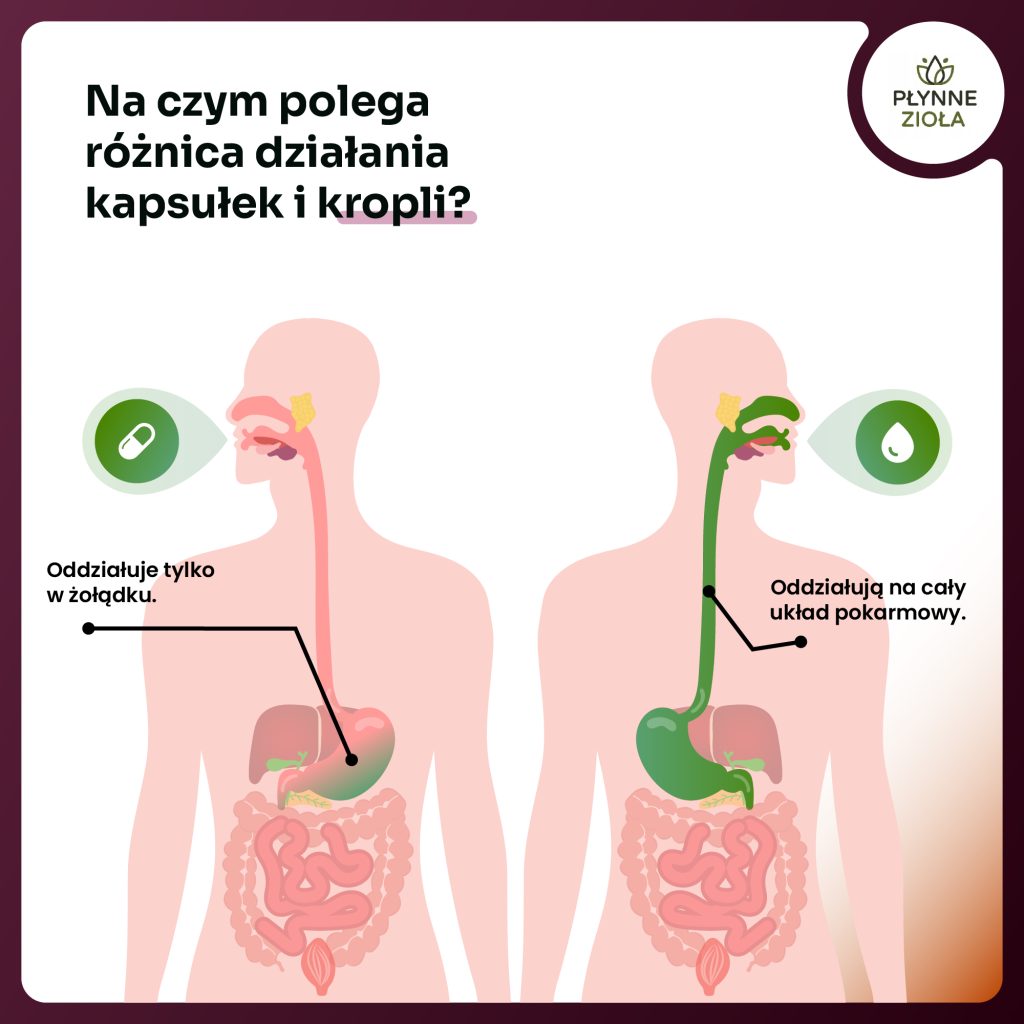 Krople na serce i metabolizm lipidów