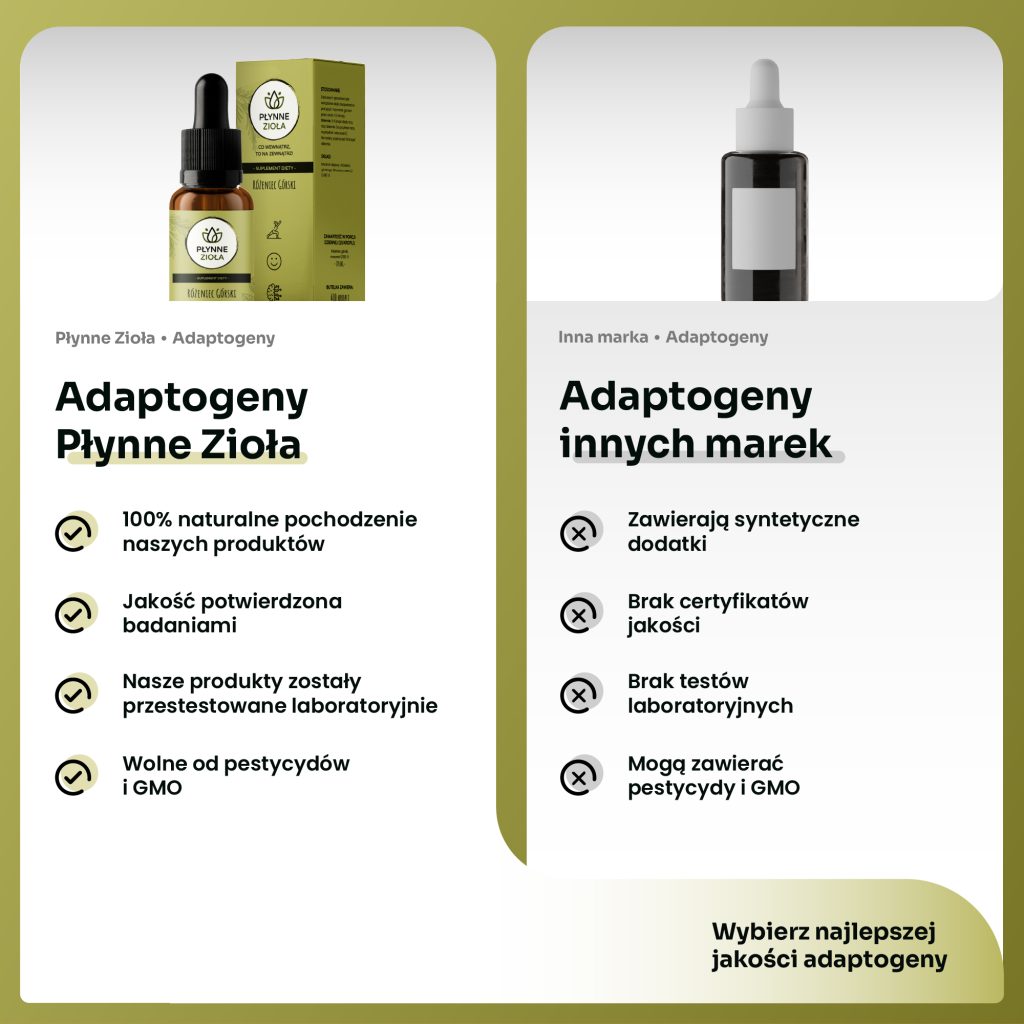 Adaptogen dla osób aktywnych fizycznie i umysłowo