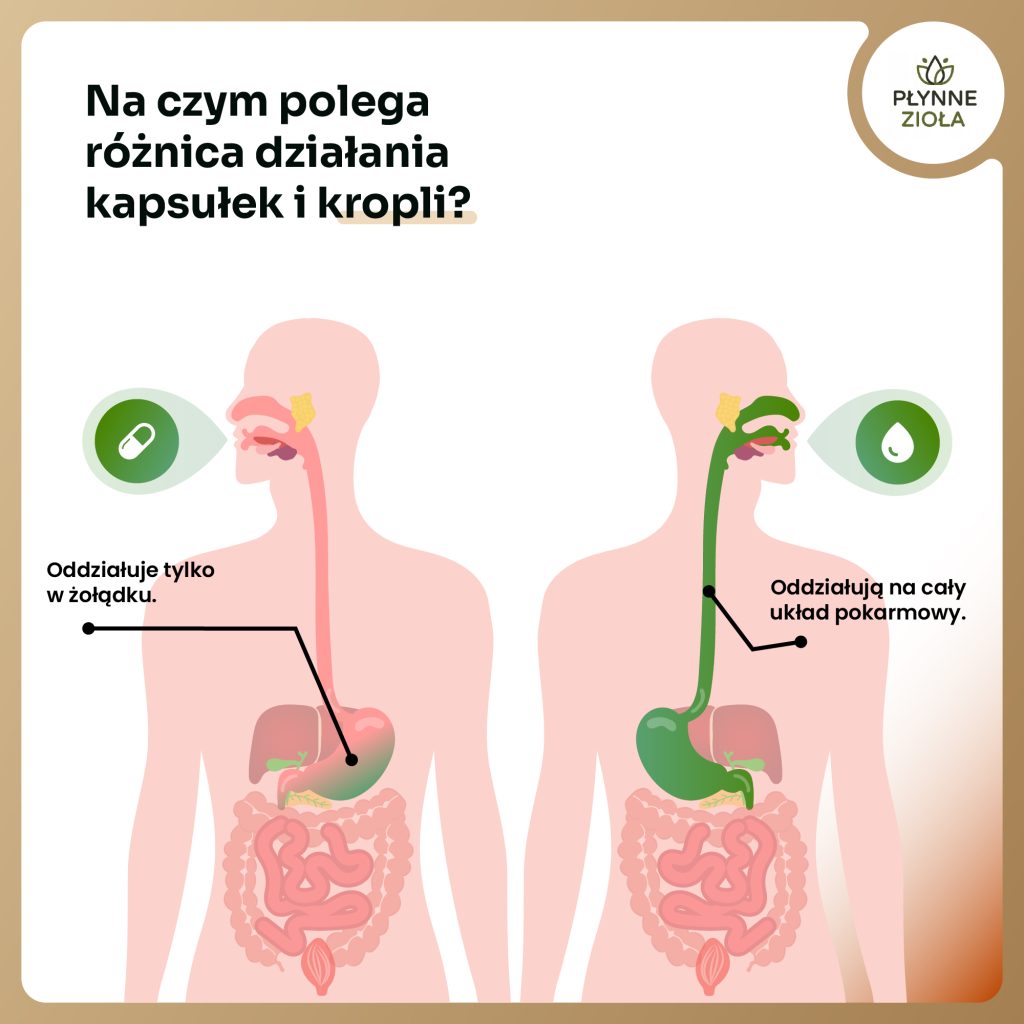 Krople na oczyszczanie dróg moczowych