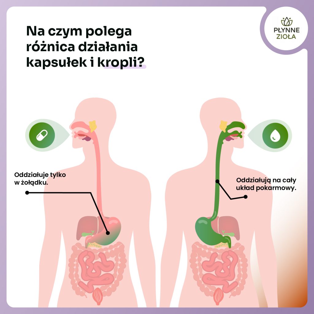 Wąkrotka azjatycka Aura Care 15 ml – suplement diety w kroplach