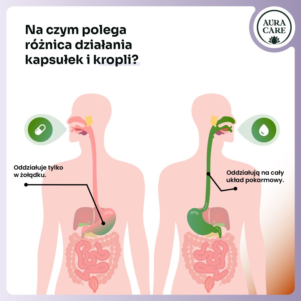 Adaptogeny na oczy – witamina A i ekstrakty roślinne