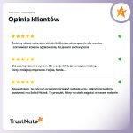 trustmateObszar roboczy 10-100 (27)
