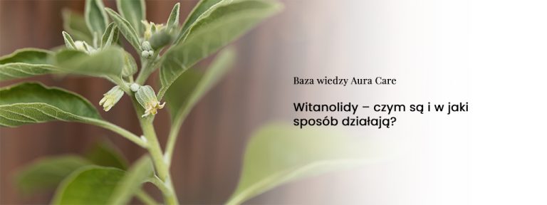 Witanolidy – czym są i w jaki sposób działają?