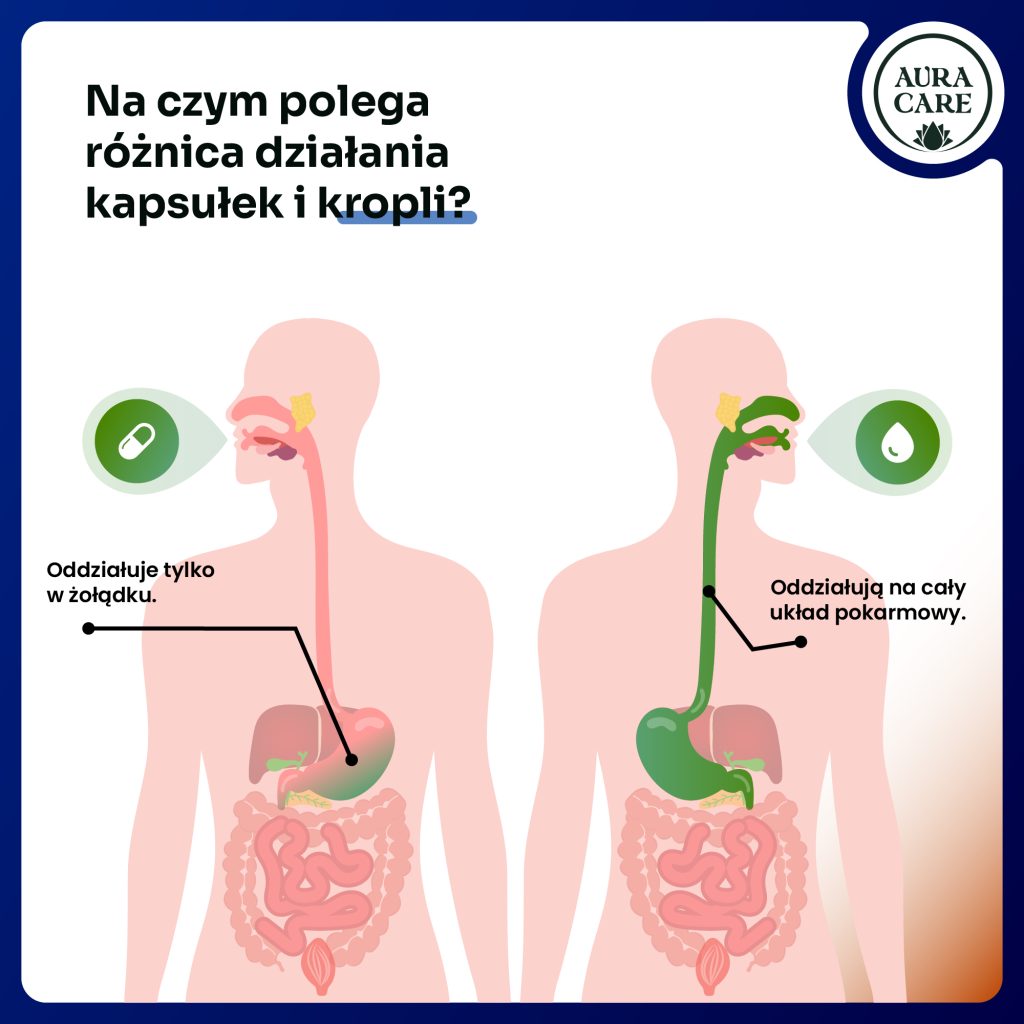 Krople adaptogenne na pamięć – Aura Care