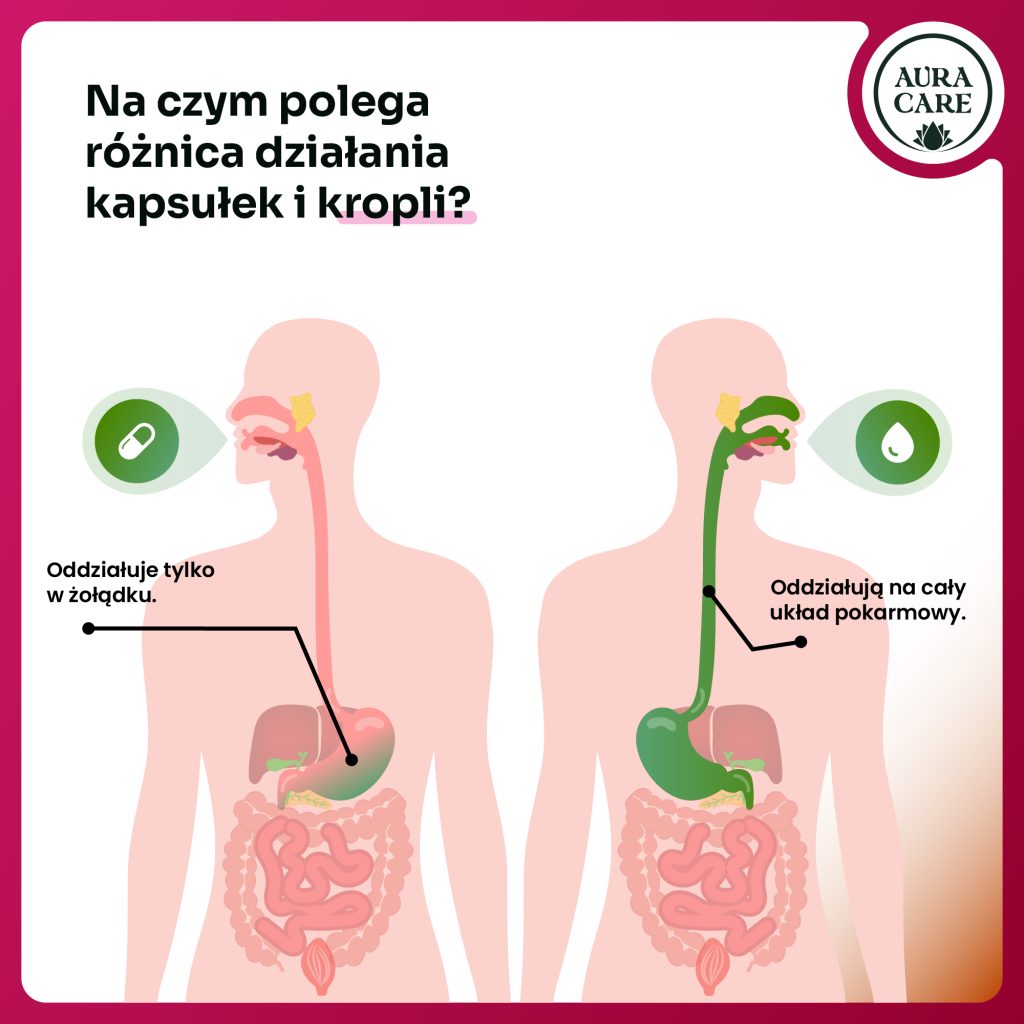 Krople na wyciszenie i spokój – waleriana i chmiel