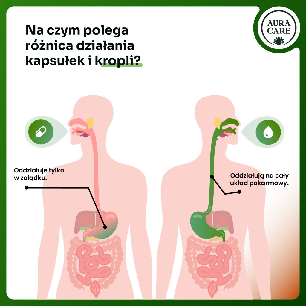 Krople wspierające detoks i pracę układu pokarmowego