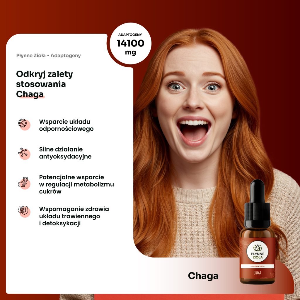 Krople z chaga na odporność i ochronę organizmu