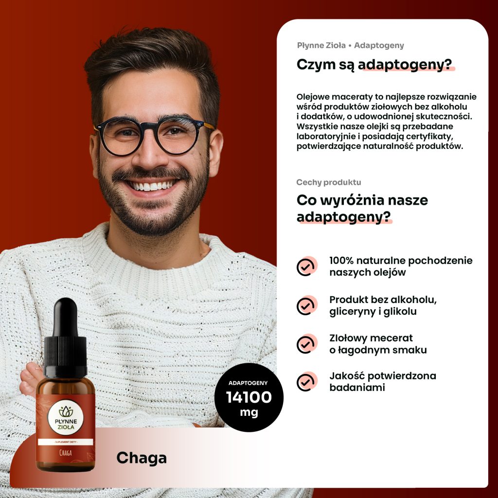 Chaga adaptogen na stres i równowagę organizmu