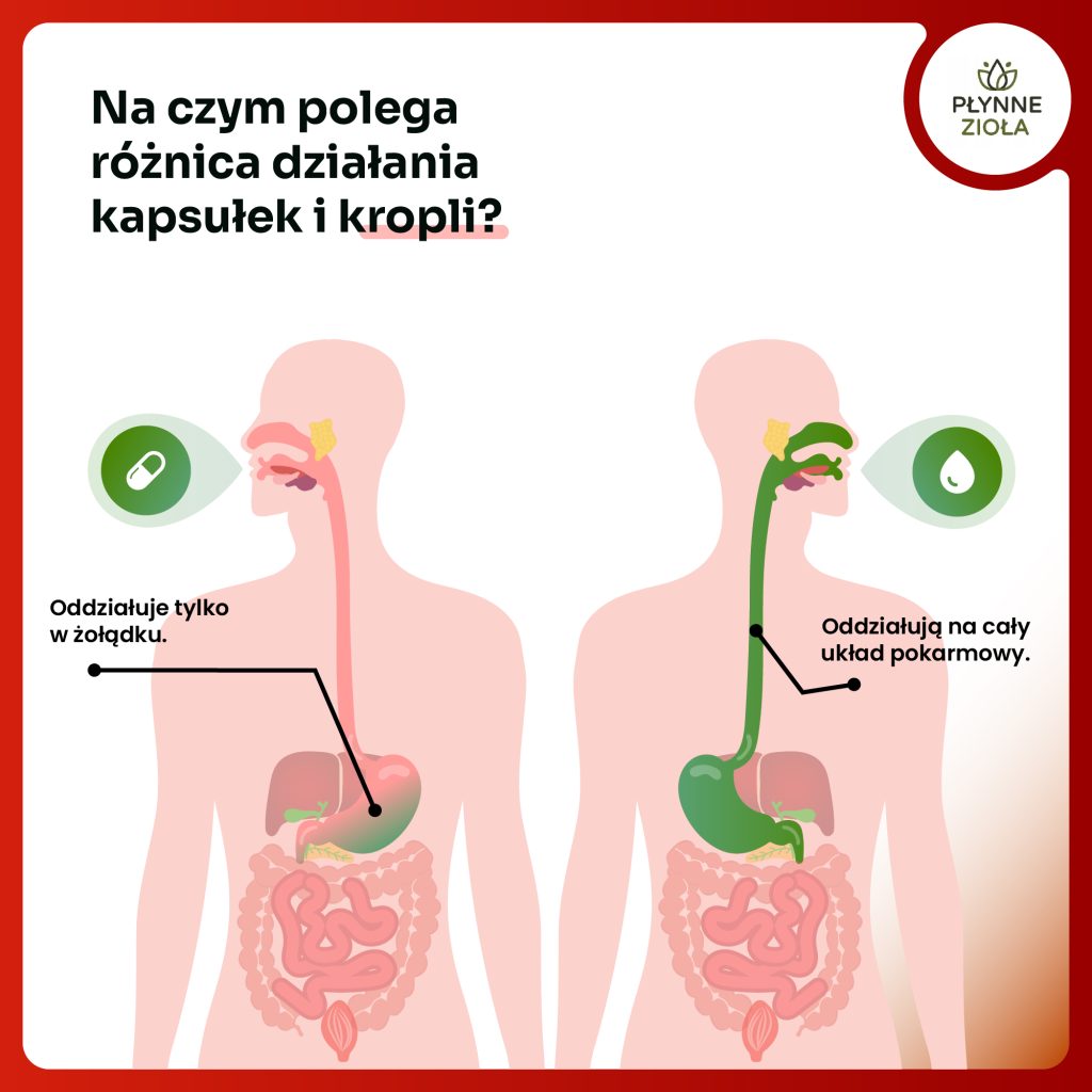 Krople na stres i równowagę organizmu