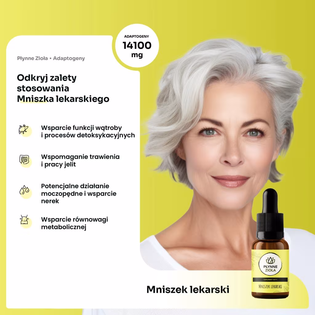 Krople z mniszka na detoks organizmu i regenerację wątroby