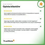 trustmateObszar roboczy 10-100 (5)