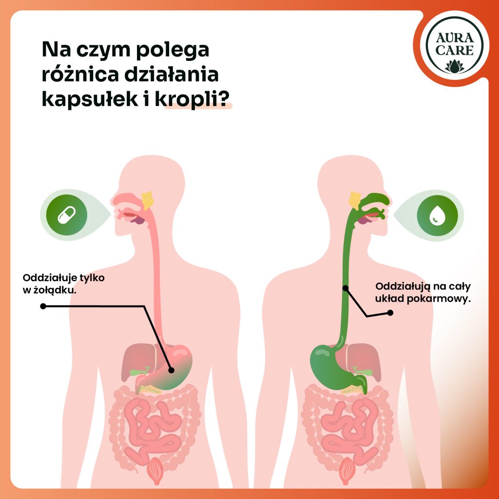 Krople na blask skóry i równomierny koloryt