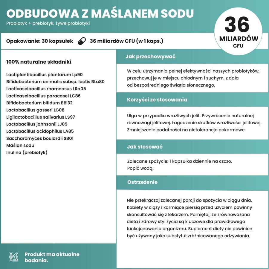 odbudowaObszar roboczy 1-100