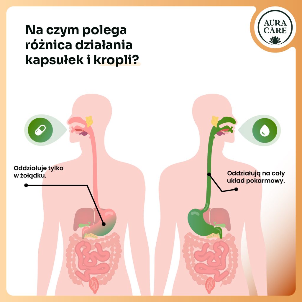 mocne-kosciObszar roboczy 3-100