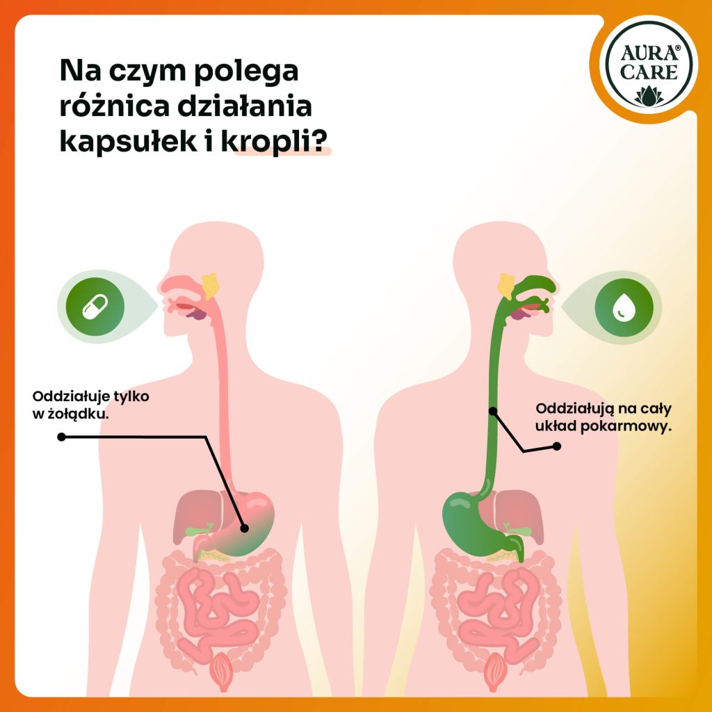Krople na metabolizm i redukcję masy ciała – zielona herbata