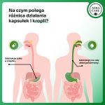 zdrowa-watrobaObszar roboczy 3-100