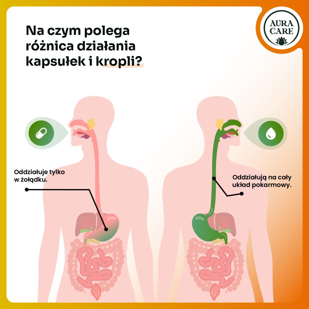 Krople dla dzieci na trawienie i mikrobiotę jelitową