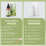 ashwagandha ekstrakt